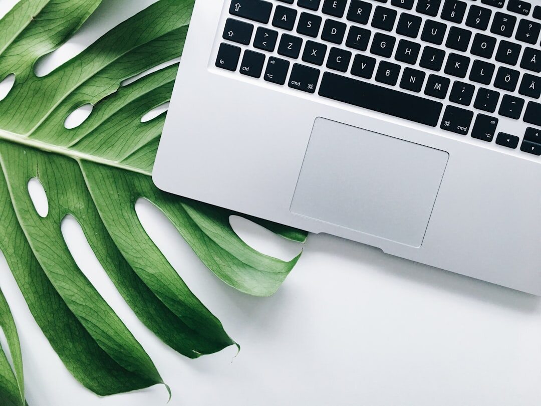 blog post on laptop